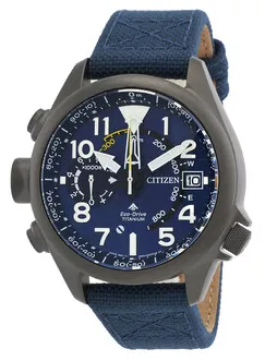 Citizen 8845-T023029 Titanium Silver Japan | Dealer | EveryWatch