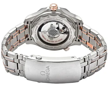 Omega Seamaster Diver 300M 210.60.42.20.99.001 42mm Titanium Gray 3