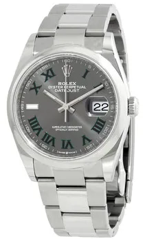 Rolex Datejust 126200GYRO 36mm Stainless steel Gray