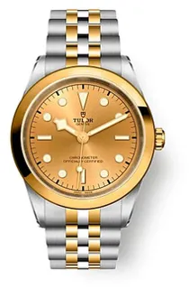 Tudor Black Bay 31-32-36-39-41 79683-0005 Yellow gold and Stainless steel Silver