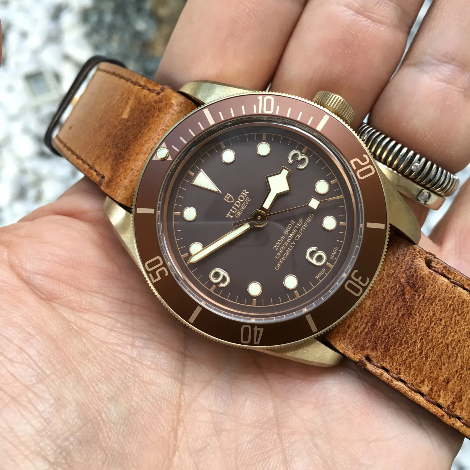 Tudor Black Bay Bronze 79250BM 43mm Bronze Brown