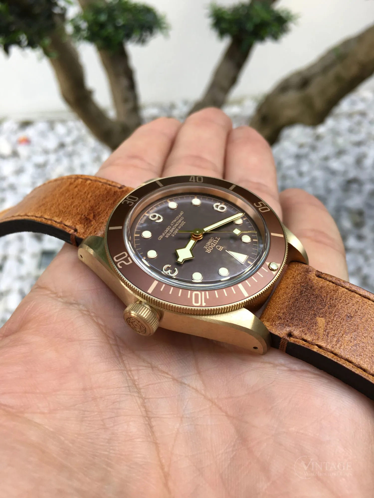 Tudor Black Bay Bronze 79250BM 43mm Bronze Brown 3