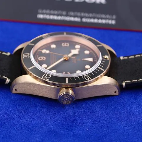 Tudor Black Bay Bronze M79250BA-0001 43mm Bronze Gray 5