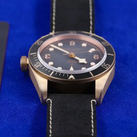 Tudor Black Bay Bronze M79250BA-0001 43mm Bronze Gray 8