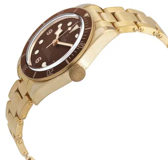 Tudor Black Bay M79012M-0001 39mm Bronze Brown 2