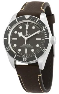 Tudor Black Bay Fifty-Eight M79010SG-0001 Silver Beige