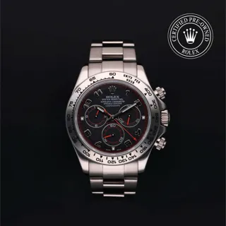 Rolex Daytona 116509 White gold