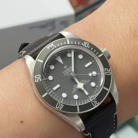 Tudor Black Bay Fifty-Eight M79010SG-0001 39mm Silver Gray