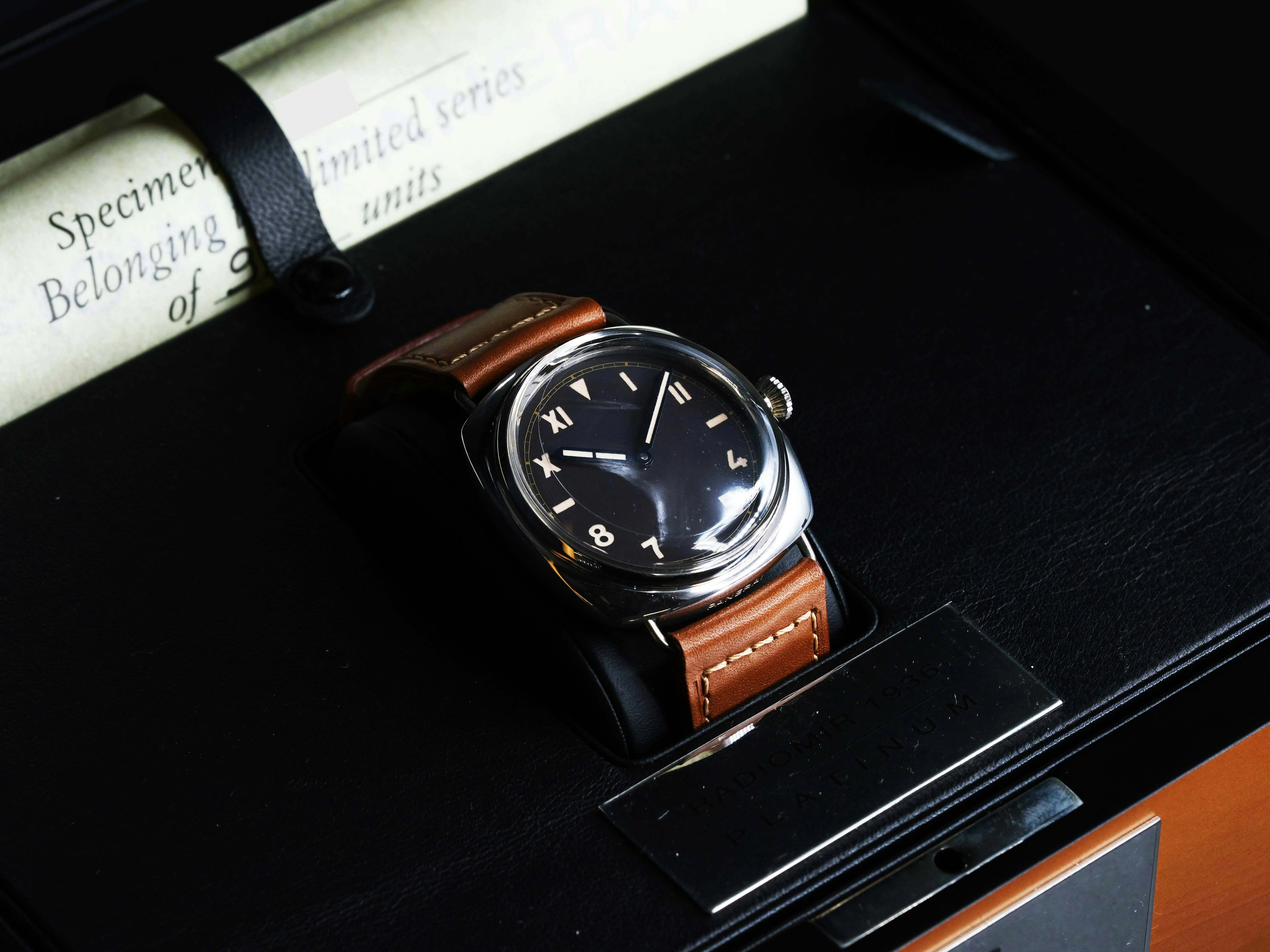 Panerai Radiomir PAM 00262 47mm Platinum Brown 18