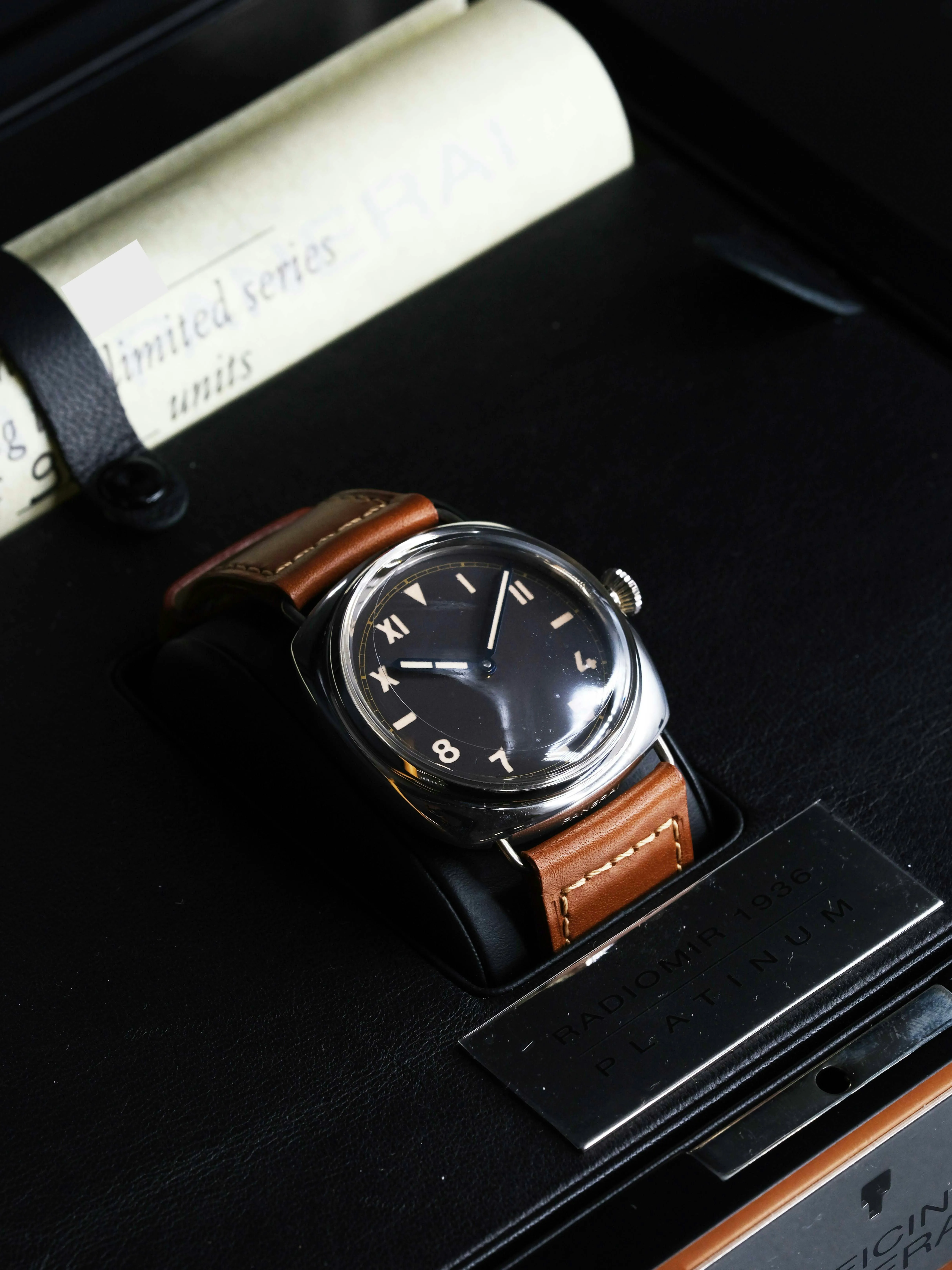 Panerai Radiomir PAM 00262 47mm Platinum Brown 19