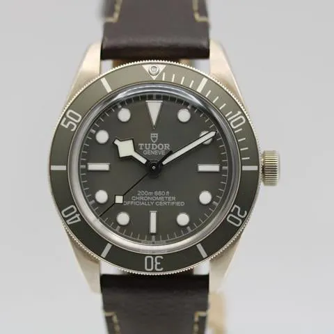 Tudor Black Bay 58 79010SG-0001 39mm Silver Gray