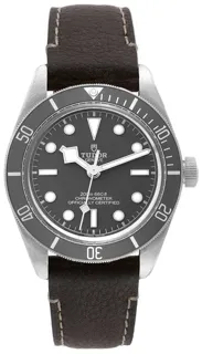 Tudor Black Bay M79010SG-0001 Silver Beige