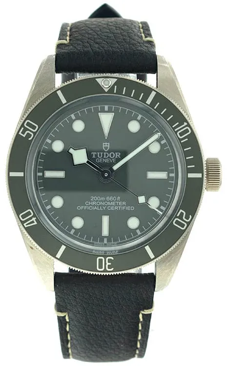 Tudor Black Bay M79010SG-0001 39mm Silver Gray