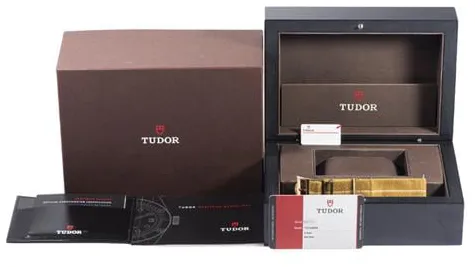 Tudor Black Bay Bronze 79250BM 43mm Bronze Brown 2