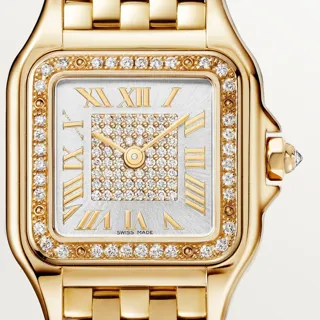 Cartier Panthère de Cartier WJPN0042 Yellow gold Silver