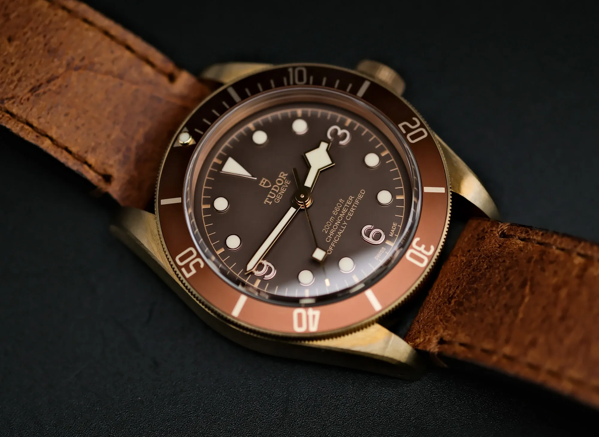 Tudor Black Bay Bronze 79250BM 43mm Bronze Bronze 2