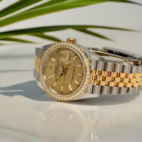 Rolex Datejust 36 126283RBR 36mm Yellow gold and Stainless steel