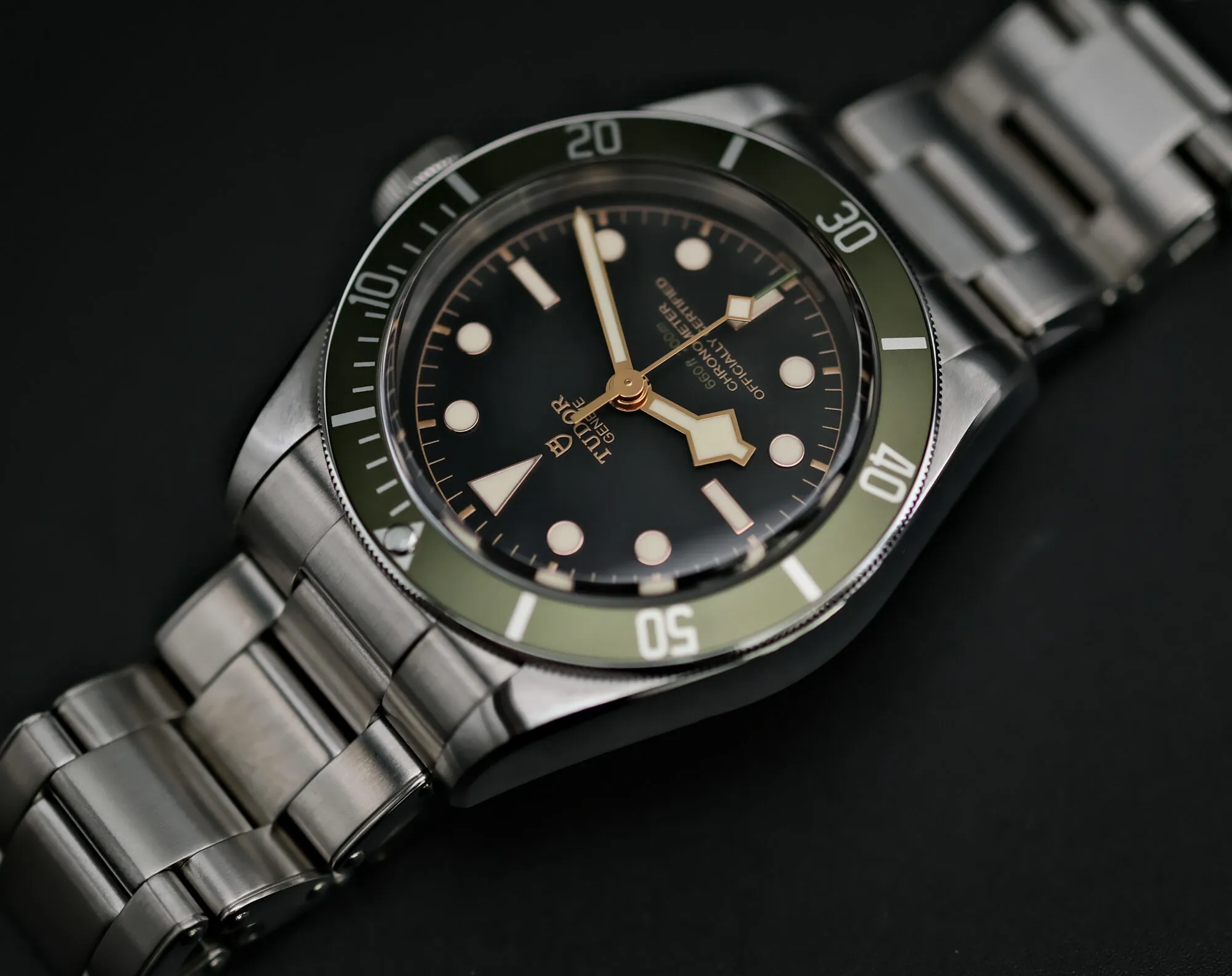 Tudor Black Bay 79230G 41mm 1