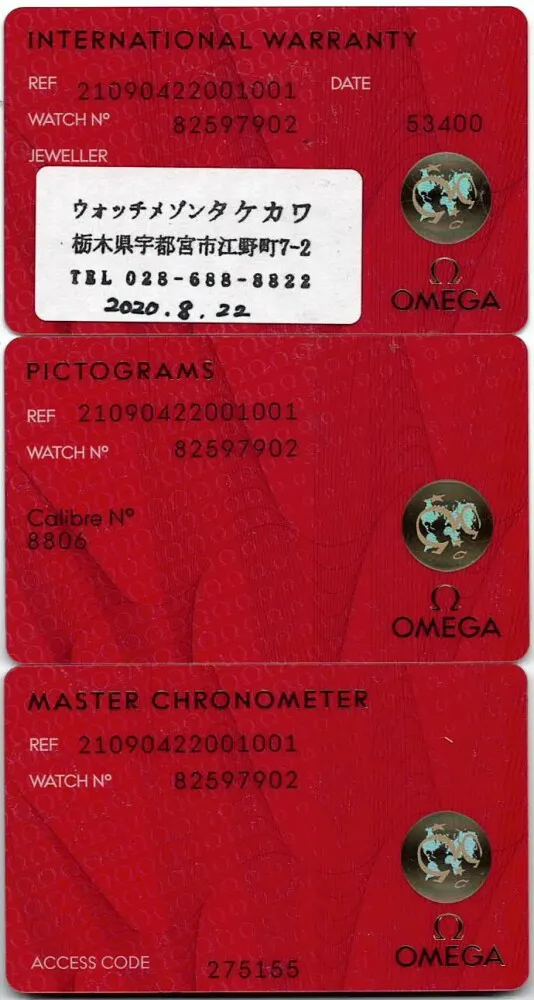 Omega Seamaster Diver 300M 210.90.42.20.01.001 42mm Titanium and aluminum Brown 4