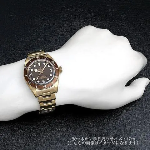 Tudor Black Bay Fifty-Eight 79012M 39mm Bronze Brown 4