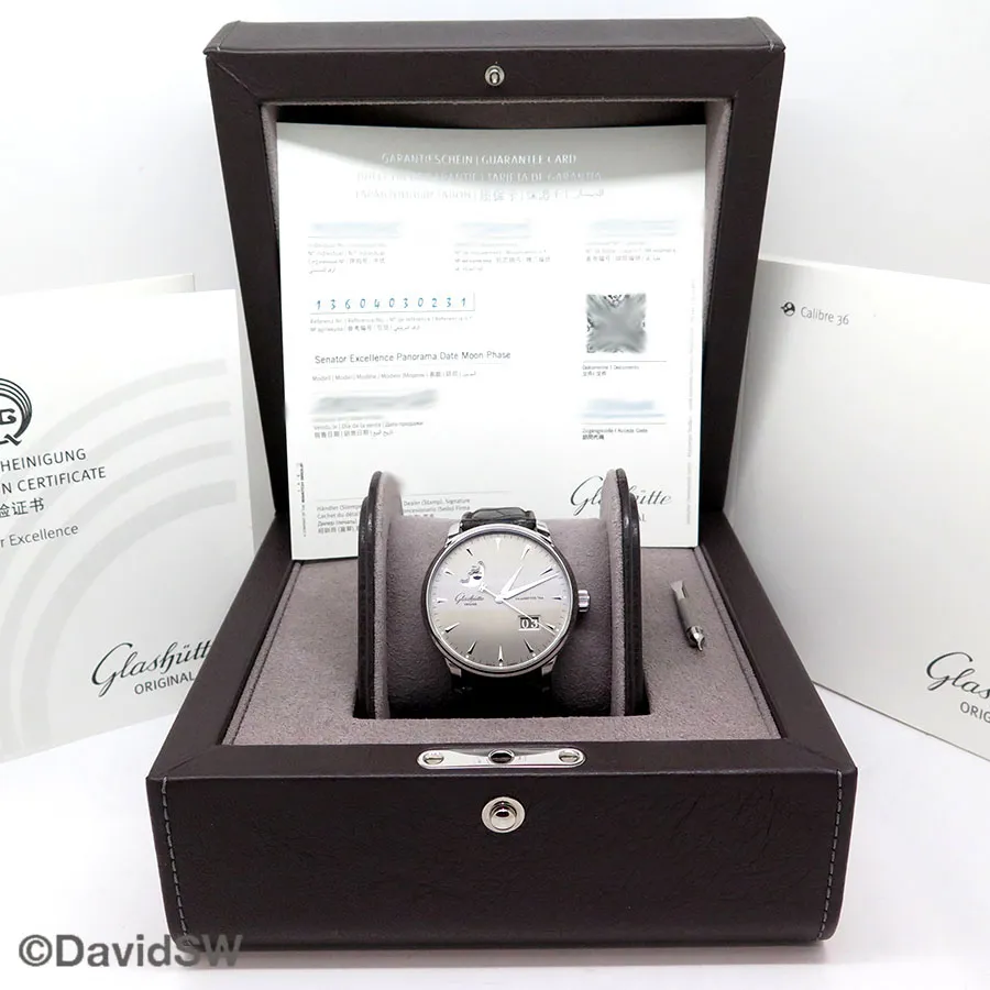 Glashütte Senator Excellence 1-36-04-03-02-31 42mm Stainless steel Silver 1