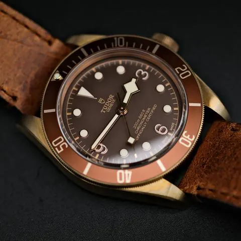 Tudor Black Bay Bronze 79250BM 43mm Bronze Brown 2