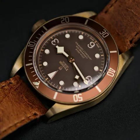 Tudor Black Bay Bronze 79250BM 43mm Bronze Brown 3