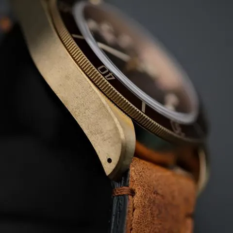 Tudor Black Bay Bronze 79250BM 43mm Bronze Brown 8