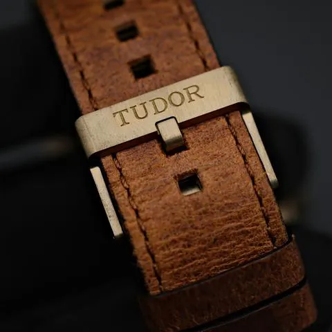 Tudor Black Bay Bronze 79250BM 43mm Bronze Brown 9