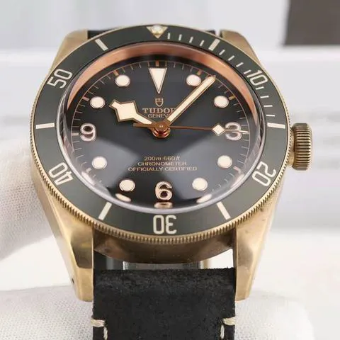 Tudor Black Bay Bronze M79250BA-0001 43mm Bronze Gray 2