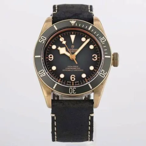 Tudor Black Bay Bronze M79250BA-0001 43mm Bronze Gray 3