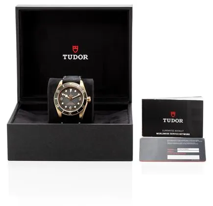 Tudor Black Bay Bronze M79250BA-0001 43mm Bronze Gray 4