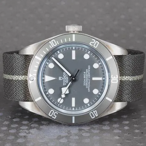 Tudor Black Bay M79010SG-0001 39mm Silver Gray