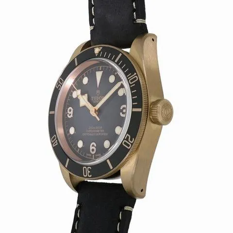 Tudor Black Bay Bronze M79250BA-0001 43mm Bronze 1