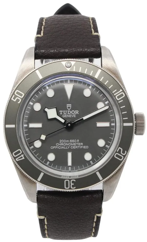 Tudor Black Bay M79010SG-0001 39mm Silver Gray