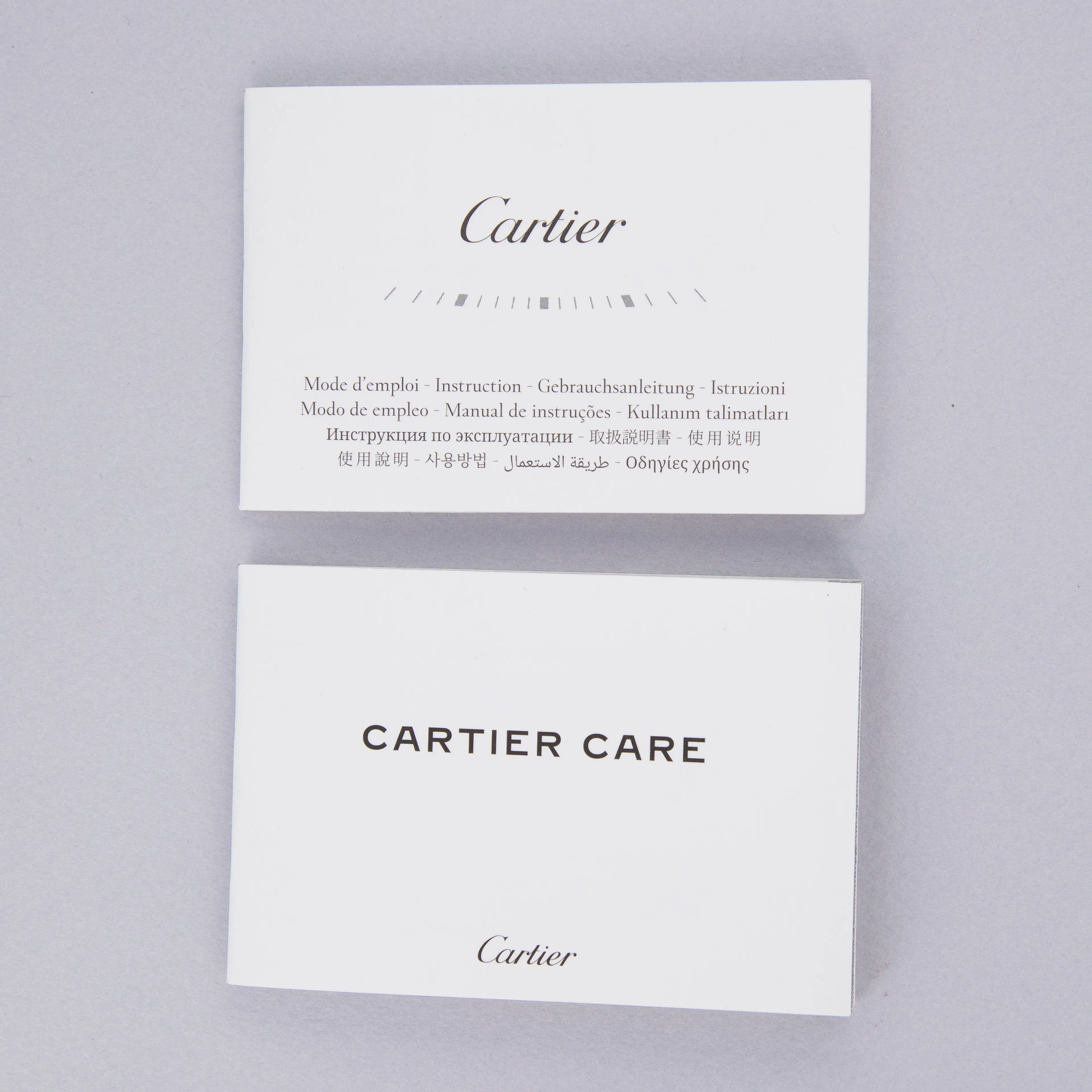 Cartier Santos Dumont WGSA0053 43.5mm Platinum Silver 19