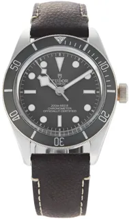 Tudor Black Bay 58 M79010SG Silver Taupe