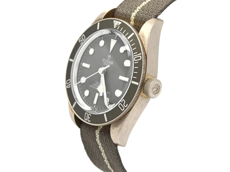 Tudor Black Bay 58 79010SG-0001 39mm Silver Gray 1