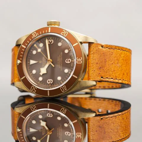 Tudor Black Bay Bronze 79250BM 43mm Bronze Brown 1