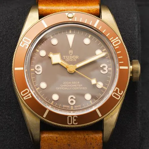 Tudor Black Bay Bronze 79250BM 43mm Bronze Brown 2