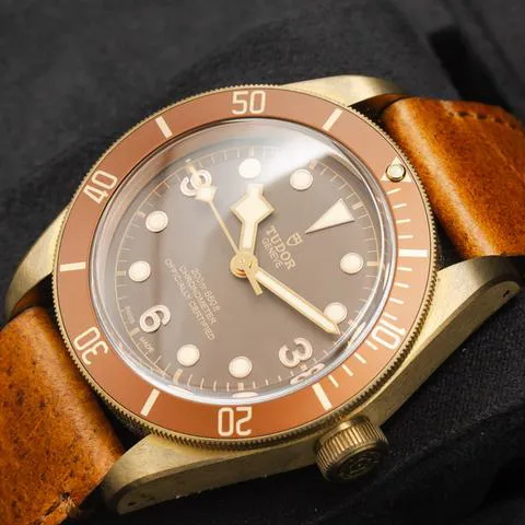 Tudor Black Bay Bronze 79250BM 43mm Bronze Brown 3