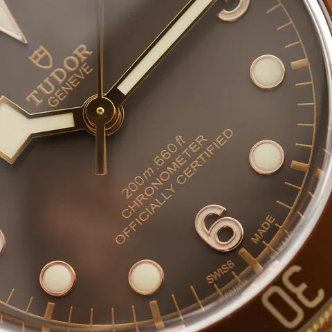 Tudor Black Bay Bronze 79250BM 43mm Bronze Brown 13