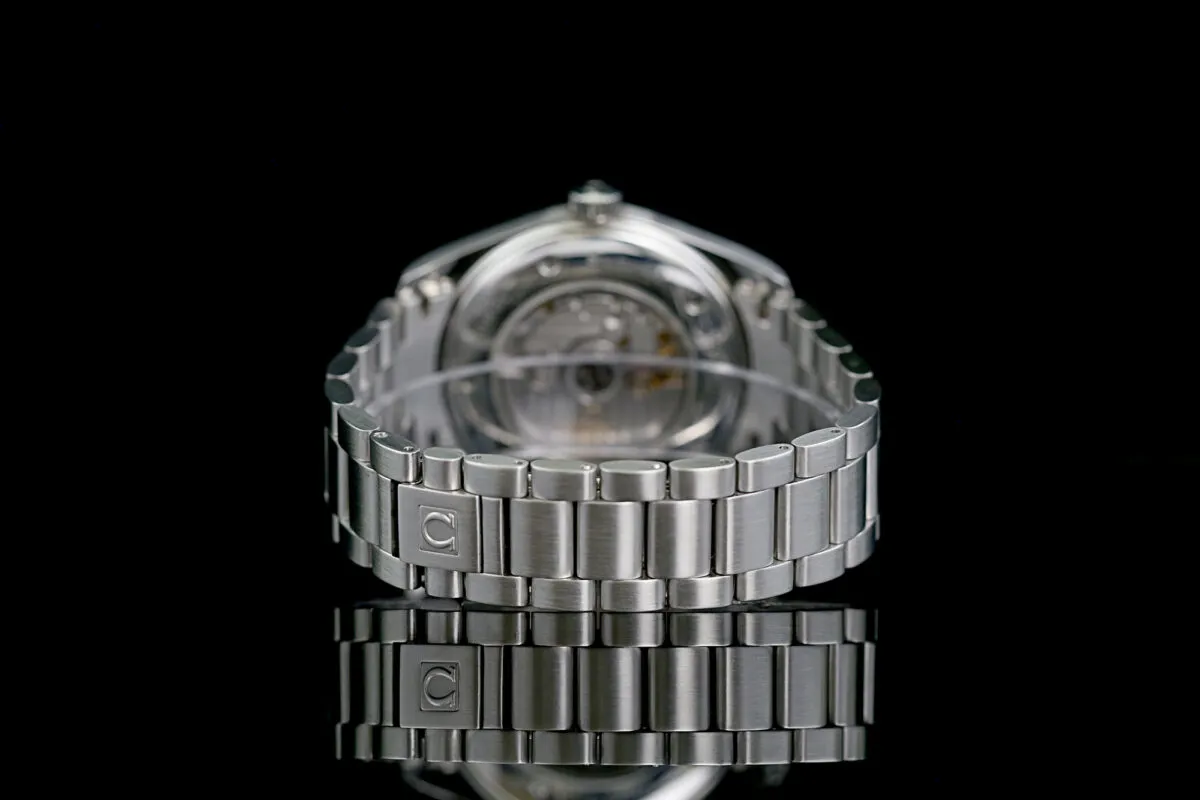 Omega Aqua Terra 2502.30.00 42mm Stahl Silver 11