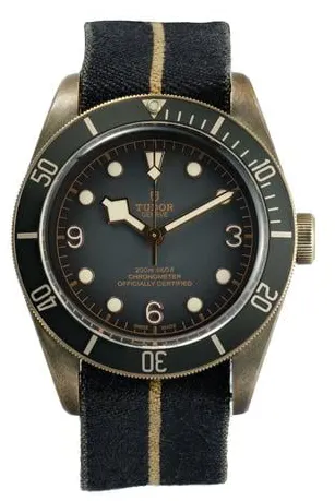 Tudor Black Bay Bronze M79250BA-0001 43mm Bronze Gray 1