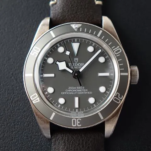 Tudor Black Bay M79010SG-0001 39mm Silver Gray