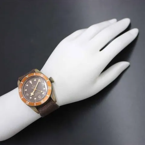 Tudor Black Bay Bronze 79250BM 43mm Bronze Brown 3