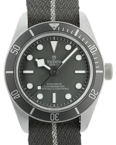 Tudor Black Bay 58 79010SG-0002 39mm Silver Gray