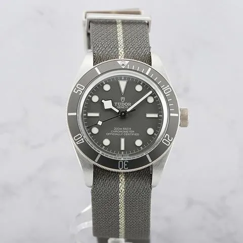 Tudor Black Bay 58 79010SG-0002 39mm Silver Gray 2