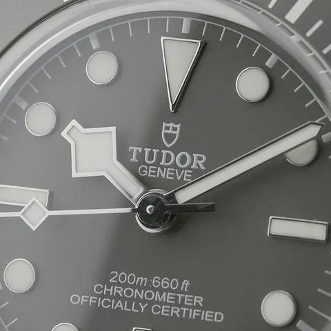 Tudor Black Bay 58 79010SG-0002 39mm Silver Gray 13