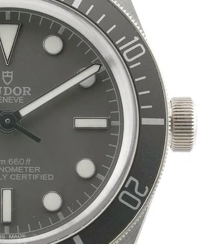 Tudor Black Bay 58 79010SG-0002 39mm Silver Gray 14